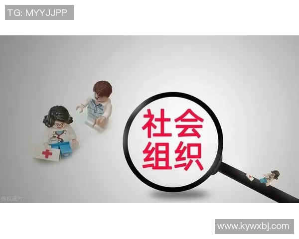 西安篮球队技术深度解析：从战术布局到球员素养的全面探讨